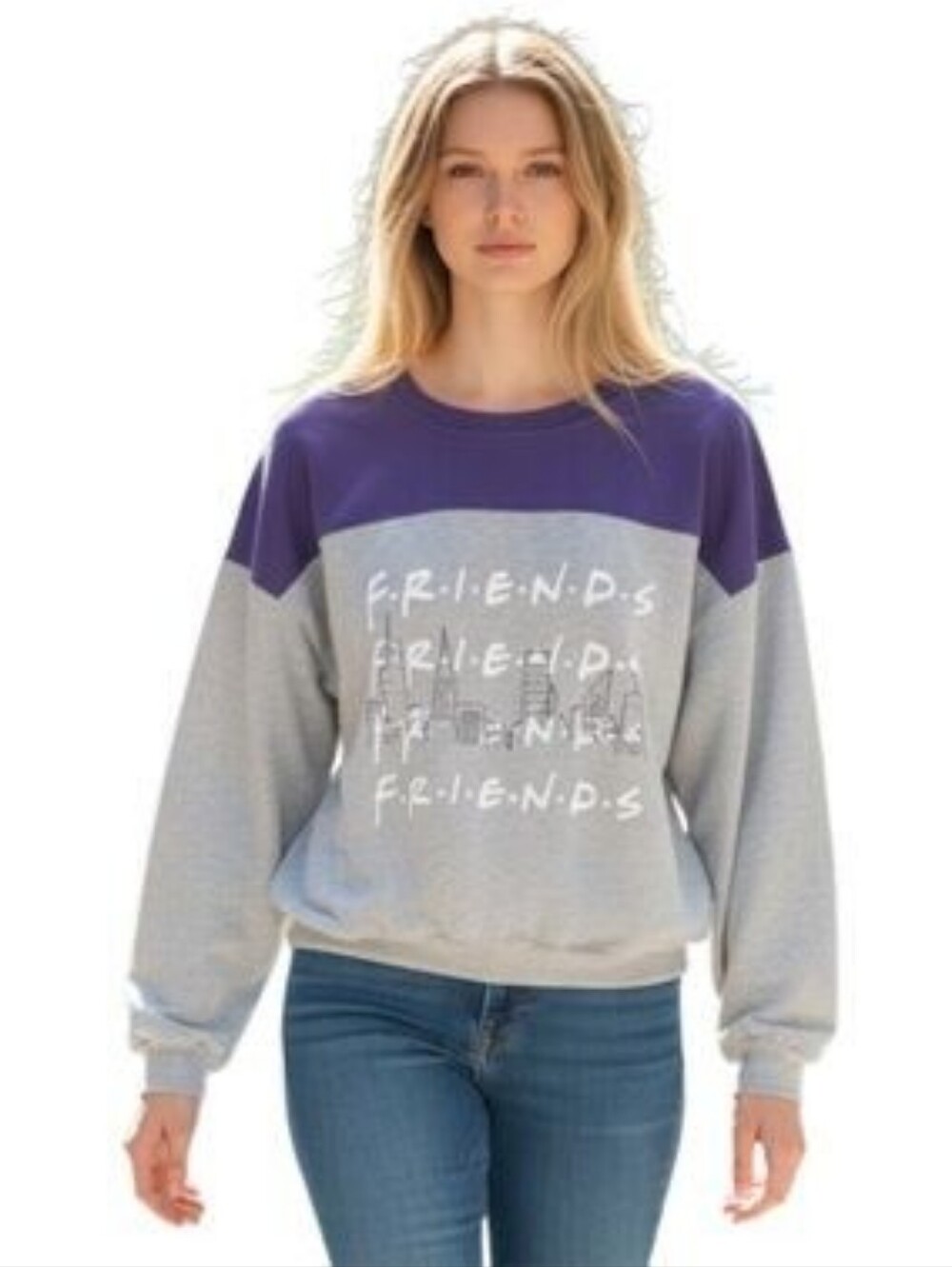 FRIENDS Gray Crewneck Sweater with Navy Yoke